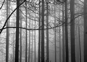 Gran Canaria, November