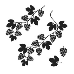 Branch hop logo. Isolated hop on white background