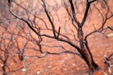 Gran Canaria, November