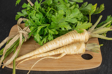 Group of two whole hamburg white parsley root on bamboo cutting board with straw rope on grey stone