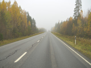 Fototapeta premium Autumn driving on wet road through forests in Finland