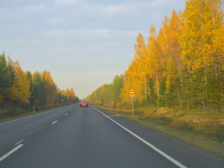 Autumn driving on wet road through forests in Finland