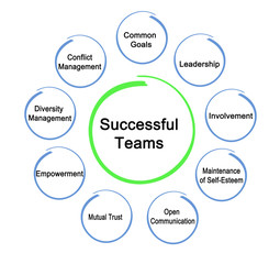 Nine prerequests for Successful Teams