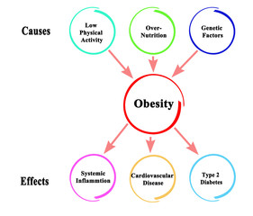 Causes.and Effects of Obesity