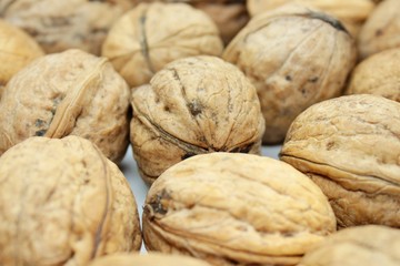Tasty walnuts located on a white background