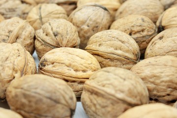 Tasty walnuts located on a white background