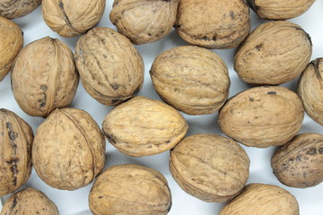 Tasty walnuts located on a white background