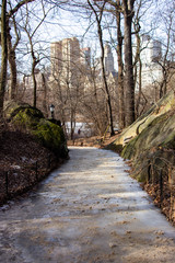 A path with black ice in Central Park, New York