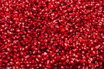 Christmas decoration, red ball isolated on white background.