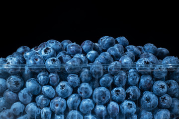 Fresh blueberries in disposable plastic food pack on black background. Close-up of Bog bilberry, bog blueberry, northern bilberry or western blueberry (Vaccinium uliginosum)