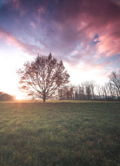 Fototapeta premium sunrise on a chilly morning