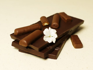 Dark and milk chocolate and sweets with a flower bud in the foreground