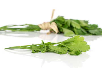 Lot of whole lot of pieces of fresh green parsley with straw rope isolated on white background