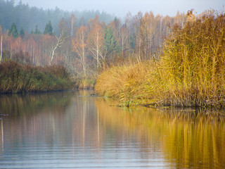   landscape with morning mist over the lake  