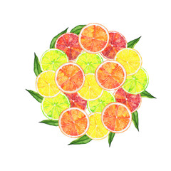 Fresh citrus slices and green leaves round shape isolated on white background. Hand drawn watercolor illustration.