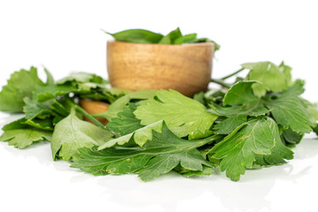 Lot of whole lot of pieces of fresh green parsley leaves on round bamboo coaster in bamboo bowl isolated on white background