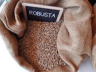 The robusta coffee beans in the sack background