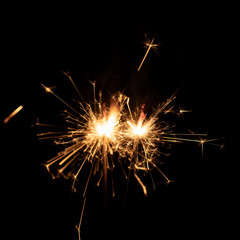 Firework sparkler burning isolated black background.