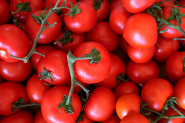 Tomaten