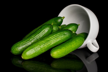 Lot of whole fresh green baby cucumber in white ceramic cup isolated on black glass