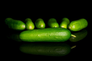 Group of seven whole fresh green baby cucumber isolated on black glass