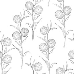 Autumn floral seamless pattern with  flowers on white background. Template design for invitation, poster, postcard. Holiday black and white illustration or congratulation.