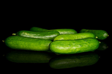 Group of six whole fresh green baby cucumber isolated on black glass