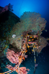 A large underwater shipwreck in a clear, tropical ocean (Similan Islands)