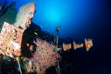A large underwater shipwreck in a clear, tropical ocean (Similan Islands)