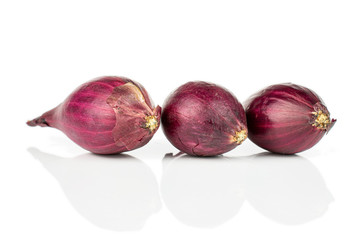 Group of three whole small red onion bulb in row isolated on white background