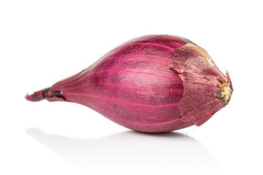 One Whole Small Red Onion Bulb Isolated On White Background