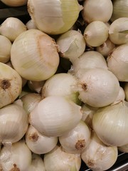 onions on white background
