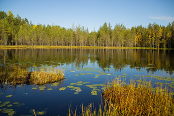  The nature of Karelia, forests and lakes