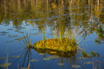  The nature of Karelia, forests and lakes