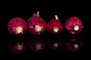Group of four whole small red onion bulb isolated on black glass