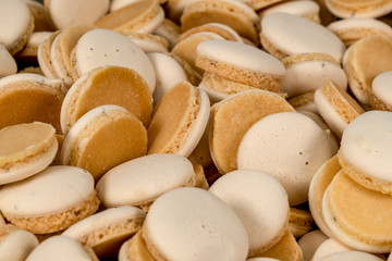Homemade anise Christmas cookies in a bowl