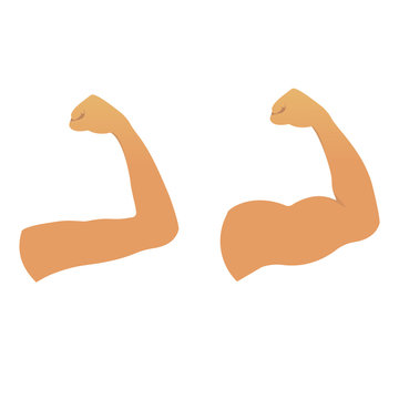 Biceps muscles on a strong and weak arms. Before and after the fitness training result. Human body icon. Sport and achievement concept. Vector illustration.