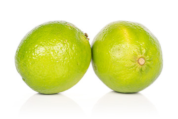 Group of two whole sour green lime isolated on white background