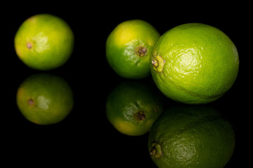 Group of three whole arranged sour green lime isolated on black glass