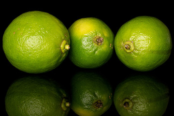 Group of three whole sour green lime isolated on black glass