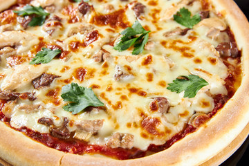pizza on white background