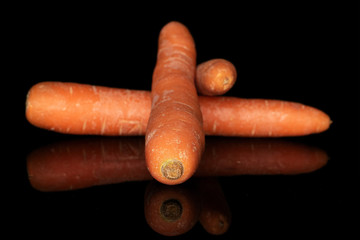 Group of three whole fresh orange carrot isolated on black glass