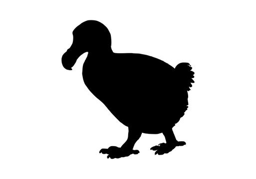 recommend clip art: dodo bird silhouette on white