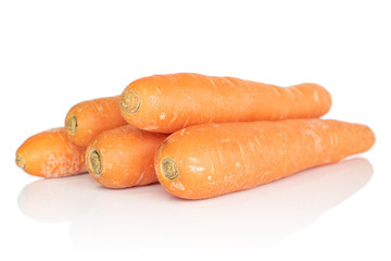 Group of five whole fresh orange carrot isolated on white background