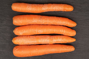 Group of five whole fresh orange carrot flatlay on grey stone