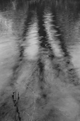 Fluss Spiegelungen Natur