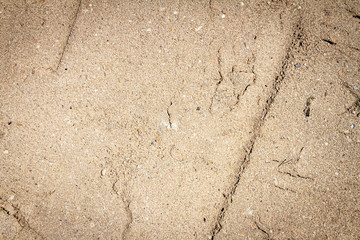 Sand gravel texture background