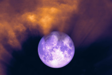 Obraz na płótnie Canvas super harvest purple moon back on silhouette cloud ray on sunset sky