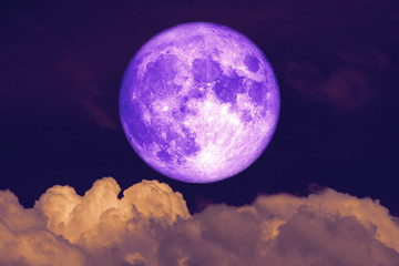 Obraz premium super purple Beaver Moon back dark heap cloud on the night sky