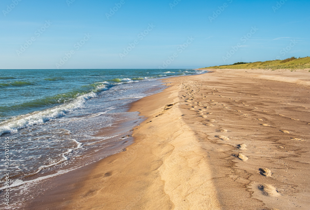 Wall mural view on sandy wild beach with footprints in sand